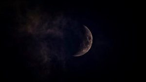 In the dark