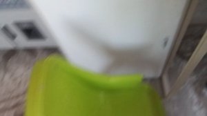 День с Никой 2 Часть