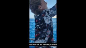 Одуванчик не сговорчивый
