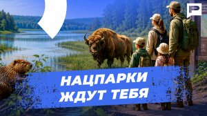 Заботиться и ухаживать: кто и как меняет заповедные территории