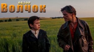 Волчок Обзор