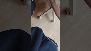 1000004793.mp4