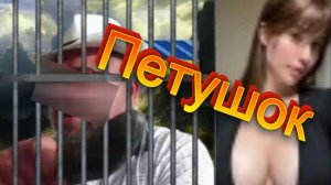 Петушок.
