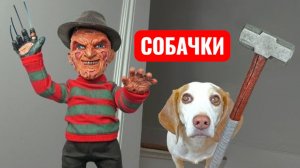 Собаки с Маленьким Фредди Крюгером! Страшилки.