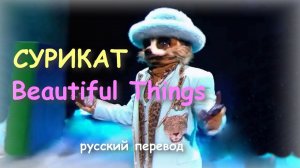 Кавер «Beautiful Things» / Сурикат / Маска-7_11 / 2026
