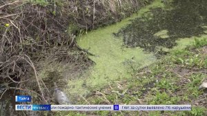 Болото на участках: в Тайге заливает огороды жителей улицы Томская