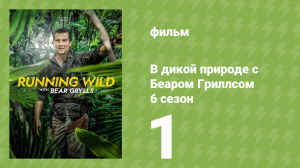 В дикой природе с Беаром Гриллсом 6 сезон 1 серия (реалити-шоу, 2021)