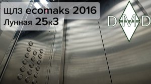 🔥НЕОБЫЧНЫЕ ЛИФТЫ, ЩЛЗ EcoMaks 2016, Лунная 25к3, Домоделово(МО)