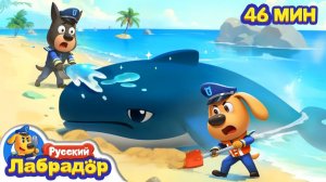 🐳Ужасающий морской монстр｜🐙Популярный сборник про животных｜🔍Развивающие мультики｜Шериф Лабрадор