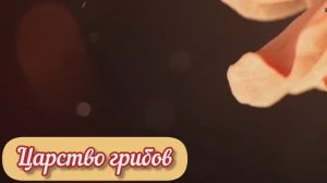 Царство грибов