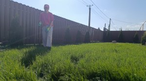 ОБИДНО,ВСЁ ИСПОРТИЛА/ЖАЛЬ ДЕНЕГ И ТРУД/ОБРЕЗАЛА РОЗЫ/СКОСИЛИ ГАЗОН/