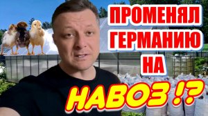 Это ошибка или лучшая жизнь?