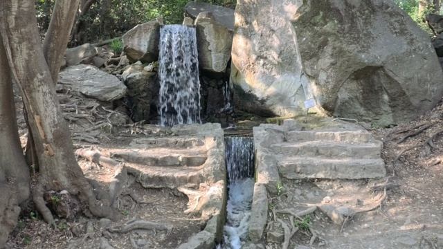 VID_20260503_171332_038
