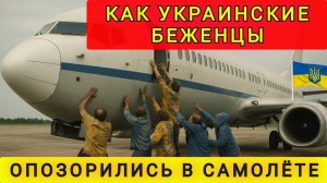 ПОЗОР❗ КАК УКРАИНСКИЕ БЕЖЕНЦЫ ОПОЗОРИЛИСЬ В САМОЛЁТЕ ❗(АНЯ КОЛОБОК)