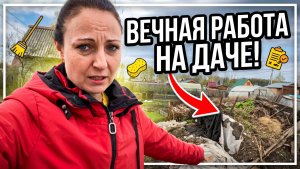 КУПИЛИ ДАЧУ И ТЕПЕРЬ РАБОТА ЕСТЬ ВСЕГДА/ОБЗОР И РАСЧИСТКА ДАЧНОГО УЧАСТКА/ВИТАЛЯ НАЧАЛ СТРОИТЬ БАНЮ