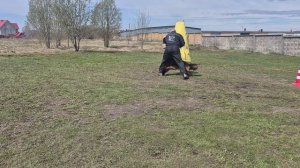 2.  выражено/перв JASPER V. TEAM FURSTENBRUNN (Noris di Casa Merola – TSN Aishwarya)