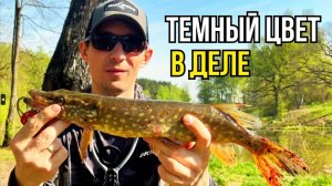 В поисках хищника: Щука на лайт и нерест карася-гиганта!