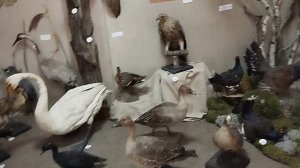 1000185827.mp4