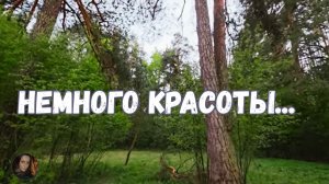НЕМНОГО КРАСОТЫ...