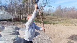 Гуляем с Матвеем и Захаром. Нашли старое фото