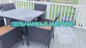 Сельчанка в АмерикетМОЯ СЕЛЬСКАЯ ЖИЗНЬ В АМЕРИКЕ