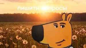 пишите вопросы для вопрос ответ