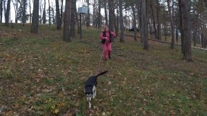 Кисловодск от квартиры до парка. Ищу Люду. День 3-й, часть 1-я. 14.11.2025.