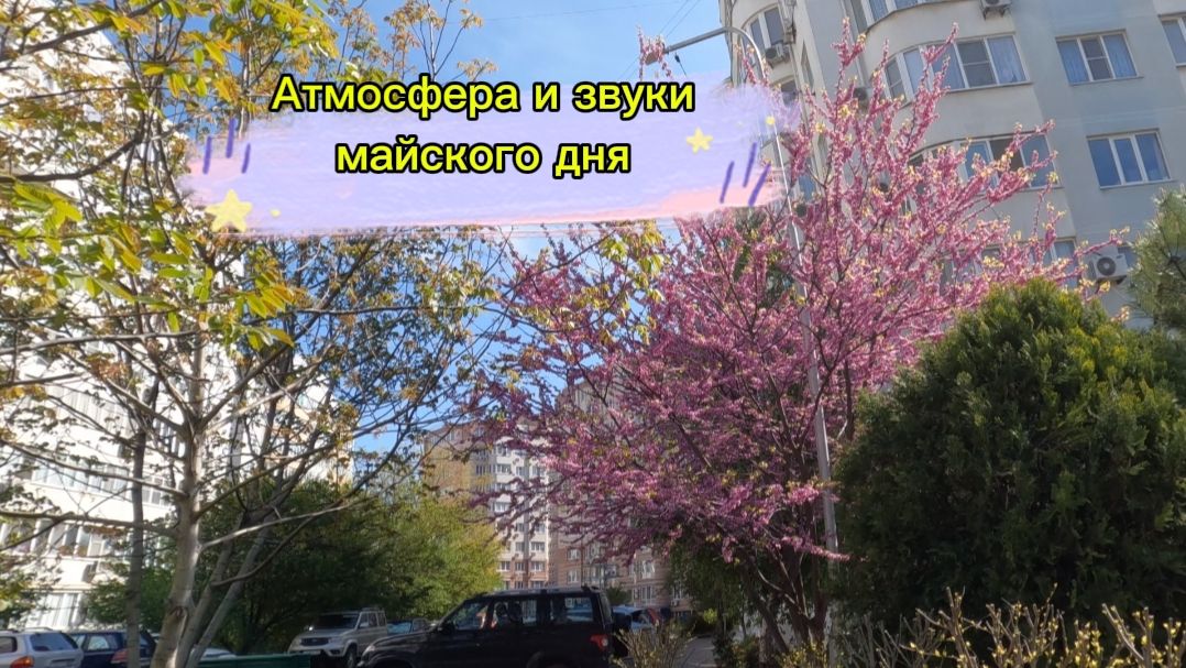 Анапа. Атмосфера и звуки майского дня