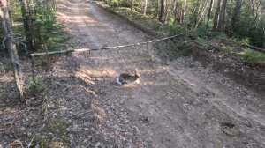 Нагонка#5(05.05.2026)