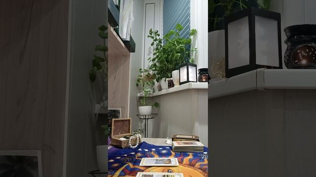 Карта дня смотреть онлайн