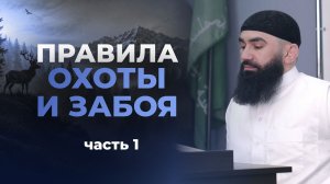 Правила ОХОТЫ и ЗАБОЯ в Исламе (часть 1) — шейх Абдуррахман