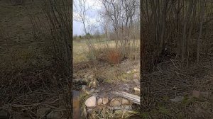 Укрепление берегов