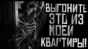 ВЫГОНИТЕ ЭТО ИЗ МОЕЙ КВАРТИРЫ... Страшные истории на ночь.