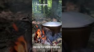 Пилигрим. Автор Евгений Шабаев