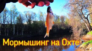 МОРМЫШИНГ с Black Adder | ЛОВЛЮ ОКУНЯ И ПЛОТВУ