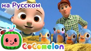 Песня про Маленькую Птичку - Новая Серия # CoComelon на русском — Детские песенки