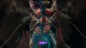 1000296910.mp4
