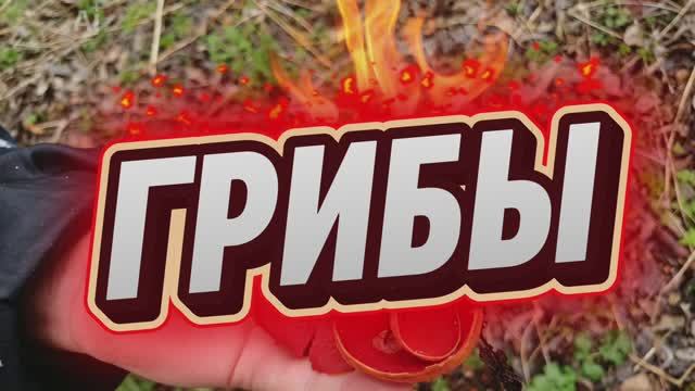 Огонь грибы 😲👀