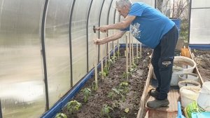 Дача пенсионеров.Сажаем лук,копаем землю.Рыбалка.