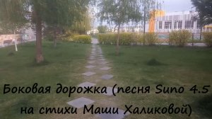 Боковая дорожка (песня Suno 4.5 на стихи Маши Халиковой)