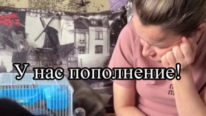 Пополнение у Иришки Чики Пики и Паши