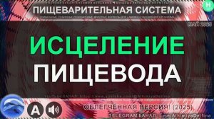 Укрепление Сфинктера и Слизистой Пищевода Глубокий восстановительный саблиминал