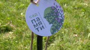 «Сад памяти» в «Парке Победы» украсили сирени