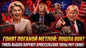 КРЫСИНЫЙ ПИР ОКОНЧЕН! 620 МЛН налогов - в утиль: Трамп ОПУСТИЛ Мерца, а Испанию выкидывают из НАТО?