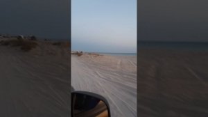 Сектор Газа