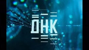 ДНК 7.05.2026 обзор