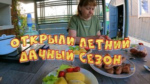 Открыли летний дачный сезон. Высадили томаты и огурцы. Посадили виноград.