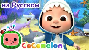 Baby Shark на русском - Новая Серия✨ # CoComelon на русском — Детские песенки
