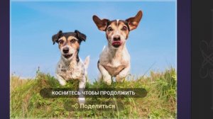 Собираем пазлы. На прогулку! Две собачки