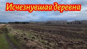 Выбиваю старое урочище нашёл больше чем ожидал